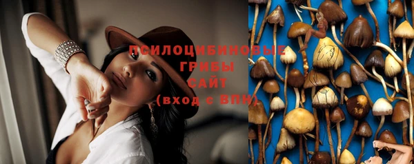 молекула духа Алзамай