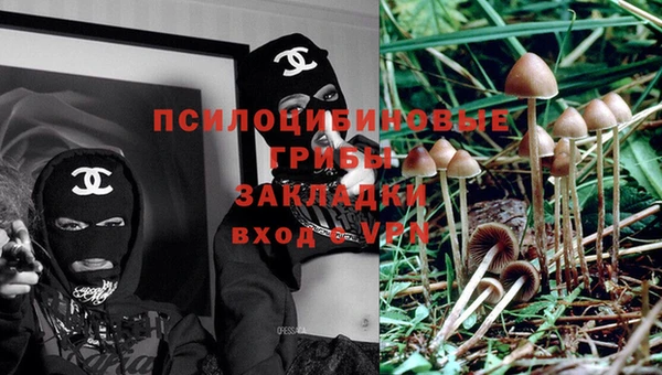 молекула духа Алзамай