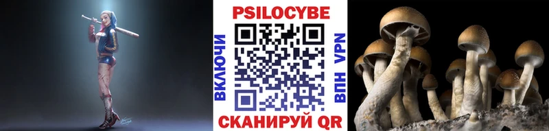 закладка  Спасск  мега   Псилоцибиновые грибы Magic Shrooms 